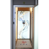 Residential Platform Lift (Electric Cylinder)